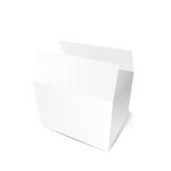 White gift carton box
