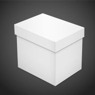 blank paper box