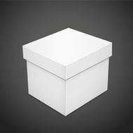blank paper box N2