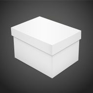 blank paper box N5