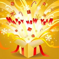 new year box N2