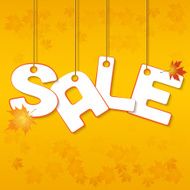 Autumn Sale N29