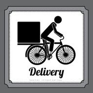 Delivery design N13