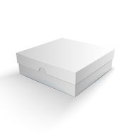 White Product Package Box Illustration N12