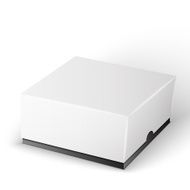 White Product Package Box Illustration N19