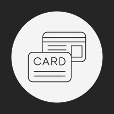 credit card line icon N29