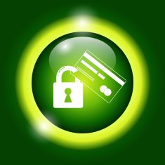 Credit Card Security icon Vector Eps 10 N5