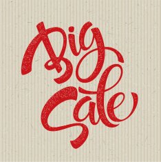 Big Sale Inscription Calligraphy Lettering Vector illustration N6