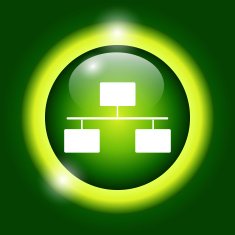 Local area network icon Flat N5