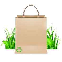 Eco shopping bag N3