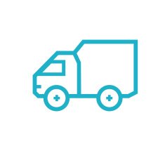 Icon for vehicle delivery services and goods N11