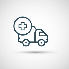 Icon for vehicle delivery services and goods N28
