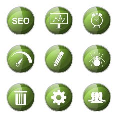 SEO Internet Sign Green Vector Button Icon Design Set 8 N6