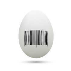 egg with bar code isolated on white background N2