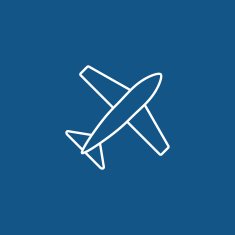 Airplane Icon N20
