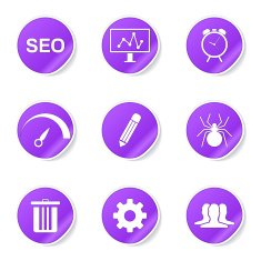 SEO Internet Sign Violet Vector Button Icon Design Set 8 N6