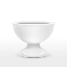 blank food container template