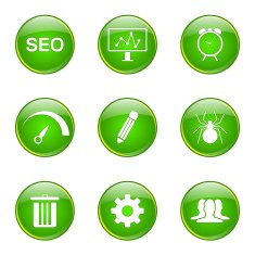 SEO Internet Sign Green Vector Button Icon Design Set 8 N9