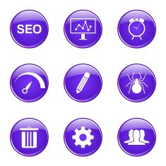 SEO Internet Sign Violet Vector Button Icon Design Set 8 N8