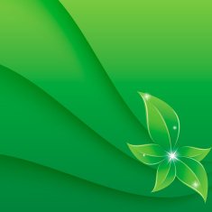 Green Leaf N17