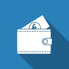 Wallet Icon N13