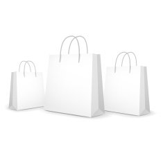 blank paper bags set N2