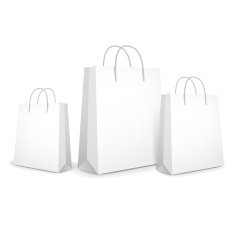 blank paper bags set N4