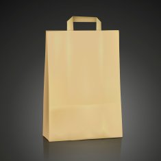 blank kraft shopping bag N3