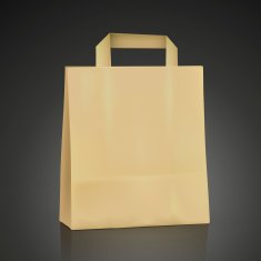 blank kraft shopping bag N4