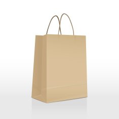 brown paper bag isolated on white
