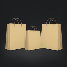 3d blank shopping bags N2