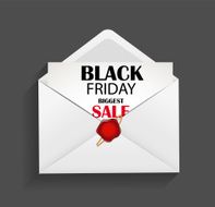 Black Friday Sale Icon Vector Illustration N6