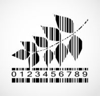 Barcode Autumn Leaf Image Vector Illustration