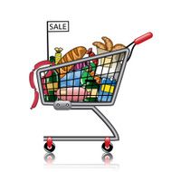 Shopping basket full of products