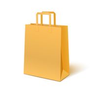 Blank paper bag isolated on white background N2