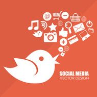 social media design N70