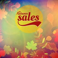 Autumn sale realistic Leaves typography poster N11