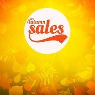 Autumn sale realistic Leaves typography poster N14