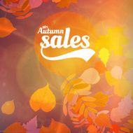 Autumn sale realistic Leaves typography poster N15