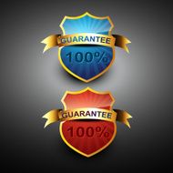 100 percent guarantee icon