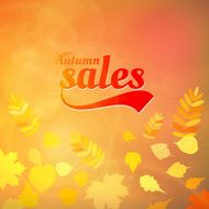 Autumn sale design template N8