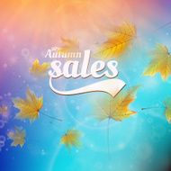 Autumn sale realistic Leaves typography poster N17