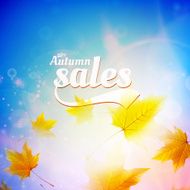 Autumn sale realistic Leaves typography poster N18