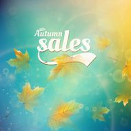 Autumn sale realistic Leaves typography poster N20