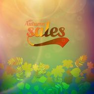 Autumn sale realistic Leaves typography poster N22