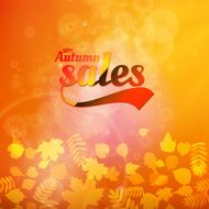Autumn sale realistic Leaves typography poster N23