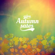 Autumn sale realistic Leaves typography poster N29