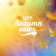Autumn sale realistic Leaves typography poster N35