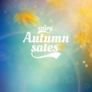 Autumn sale realistic Leaves typography poster N38