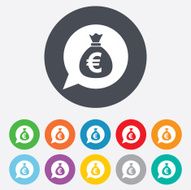 Money bag sign icon Euro EUR currency N21